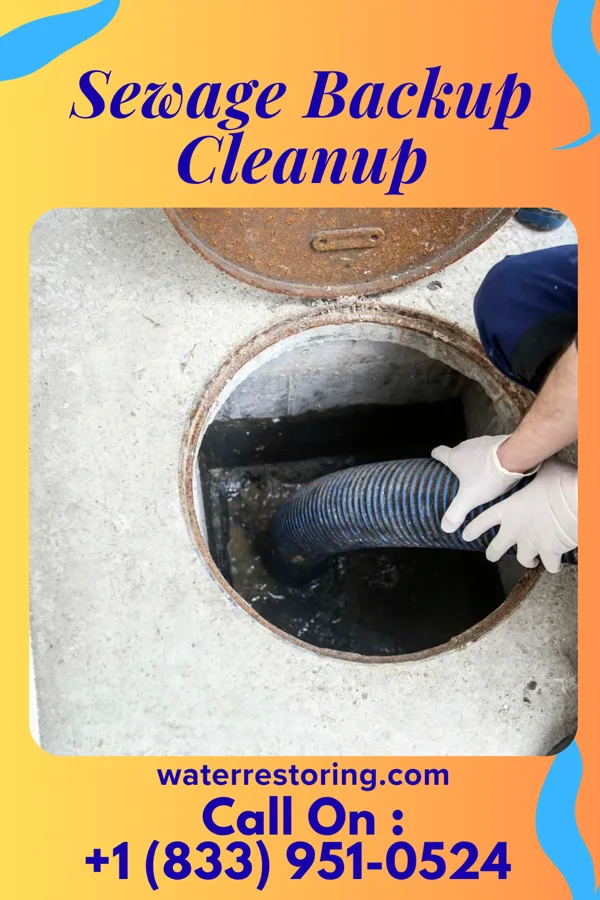 Sewage Backup Cleanup in Merrill, WI