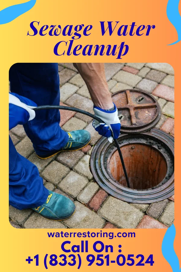 Sewage Water Cleanup in Merrill, WI